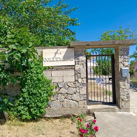 B&B Collemare-3